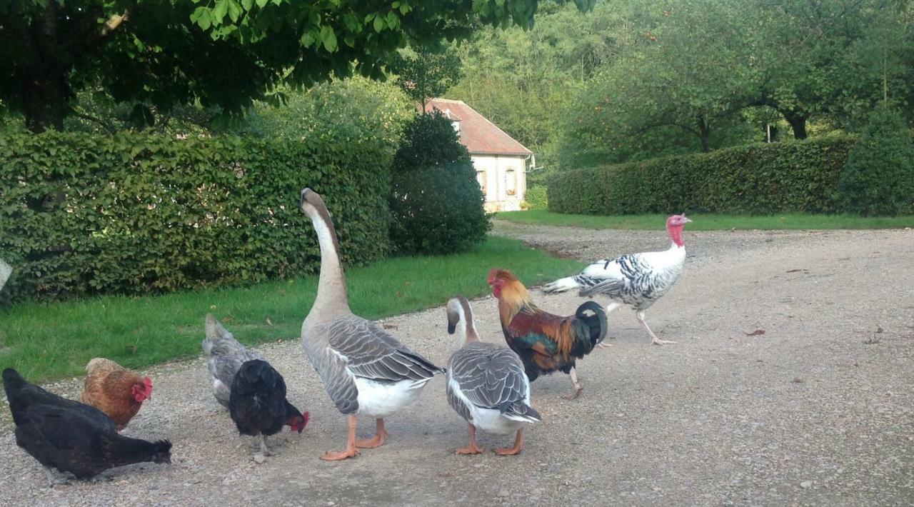 Rouge Maison Bois-Normand-près-Lyre Eksteriør billede